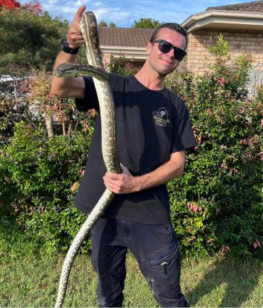 Mitch Thorburn - Gold Coast Snake Catcher