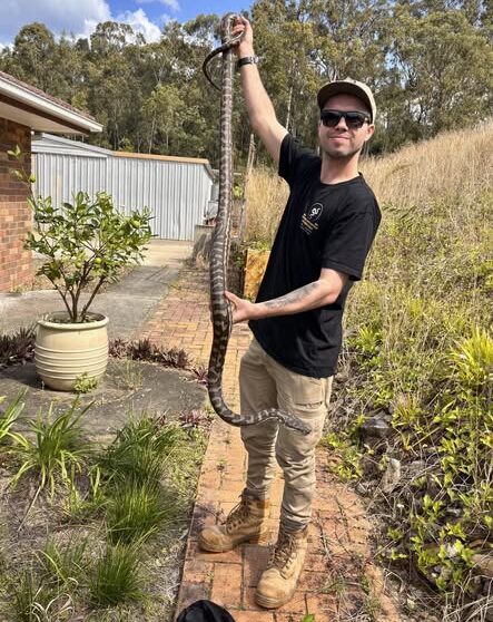 Mitch Thorburn - Worongary Snake Catcher
