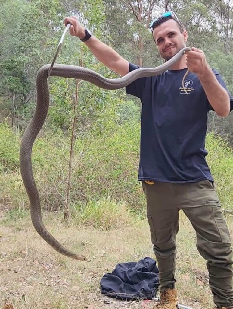 Mitch Thorburn Pacific Pines Snake Catcher