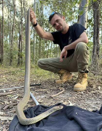 Gold Coast Snake Catcher - Mitch Thorburn