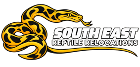 South East Reptile Relocations – Gold Coast Snake Catcher